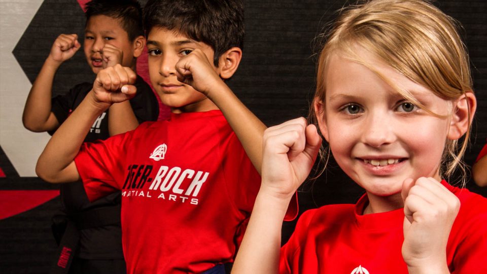 taekwondo near me 77494 Tiger Rock Martial Arts Academy