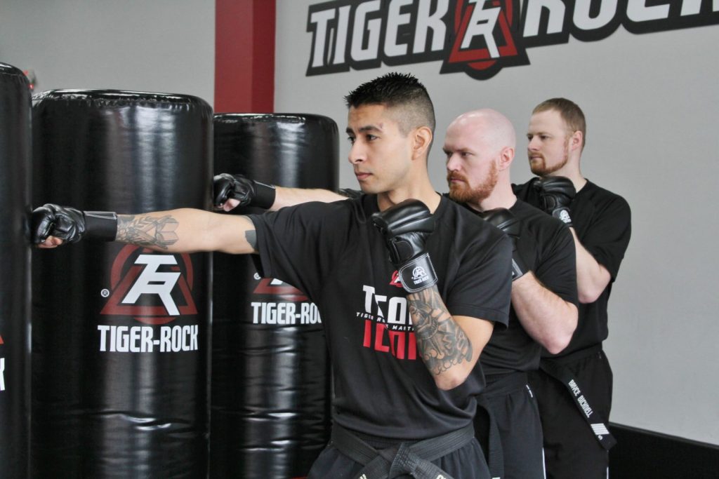 About Tiger-Rock Martial Arts of Katy