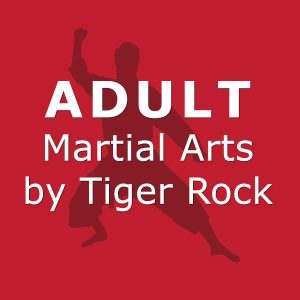Martial Arts For Adults Katy Texas
