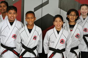 Martial Arts 77449