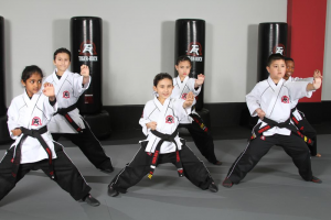 Katy TX Karate Class