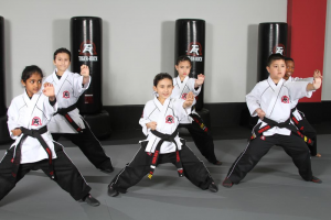 Martial arts schools near me Kingwood Tx