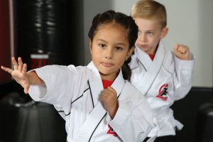 McKinney TX Taekwondo Schools