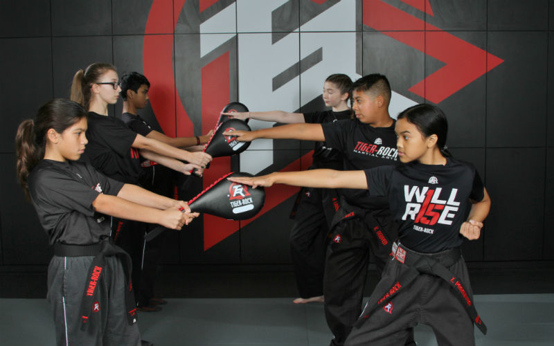 McKinney Martial Arts & Taekwondo Training Program For ...