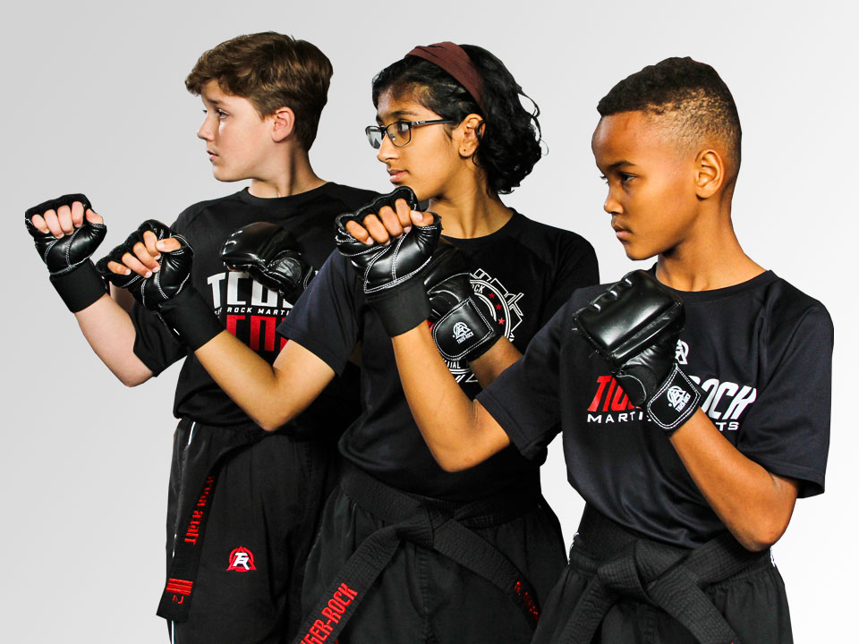 McKinney Martial Arts Training: Taekwondo Classes For Kids