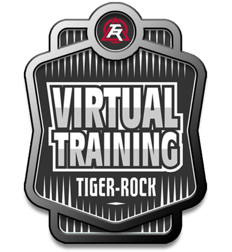 Martial Arts Sugar Land TX — Tiger-Rock Martial Arts