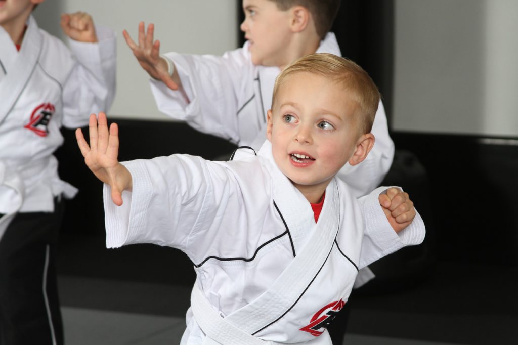 Karate Classes For Kids Near Me The Woodlands | Tiger-Rock ...