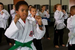The Woodlands karate for kids near me
