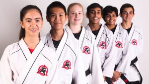 Tae Kwon Do lessons in Creekside TX