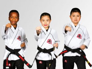 Tiger-Rock Martial Arts of Texas | Kids and Adult Martial Arts