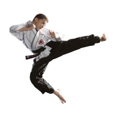 About Our Academy - Tiger-Rock Martial Arts